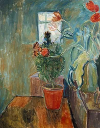 Wallflower a tulipány