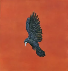Shine-Red, (Akvarel a kvaš na papíře Arches 640 g/m2,) 101,6 x 91,4 cm