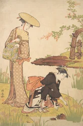 Iris Garden, ca. 1784.