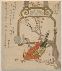 Red Perkint (co? J?-Inco)