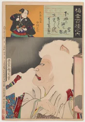 Kočka z Okazaki (Okazaki Neko)