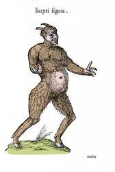Reprezentace satyra. Rukopis Talíř přírodní historie Ulisse Aldrovandi (1522-1605) o příšerách