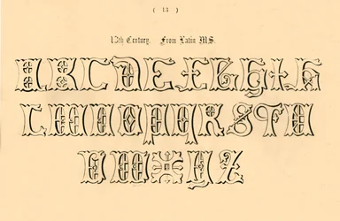 13. století. Z latinského MS., 1862