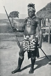 Zuluský náčelník, 1902