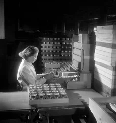 Dělnice balí dózy cigaret, Londýn 1950