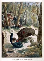 Lovec zabitý divokým prasetem, 1901