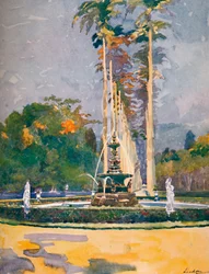 Část Avenue of Royal Palms, Botanická zahrada, 1914