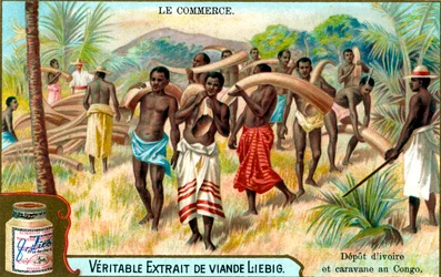 Reklama na masový extrakt Liebig, francouzština, c 1900