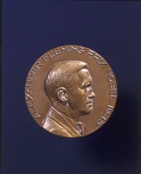 Alexander Fleming Prix Nobelova cena 1945