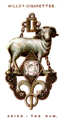 Beran, Beran, 1923