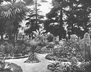 Arizona Garden, Monterey, Kalifornie, USA, c1900.