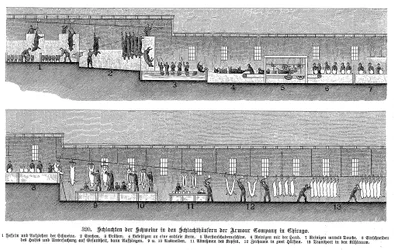 Armor Companys prasečí jatka, Chicago, Illinois, USA, 1895