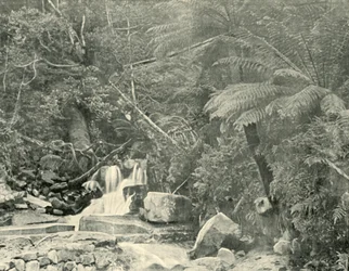 U St. Crispins Well, 1901.