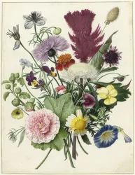 Kytice. 1680