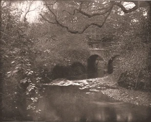 Potok a most v New Forest, Hampshire, 1894.