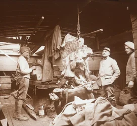 Řezníci na člunu, Somme, severní Francie, c1914-c1918