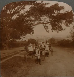 Taxíky kreslené domorodci na obytné silnici, Durban, Jižní Afrika, c1900