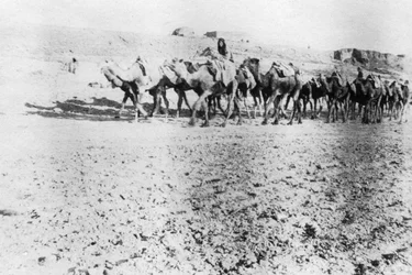 Velbloudí vlak, Mosul, Mezopotámie, 1918