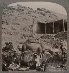 Velbloudí vlak z Jerash, zalévání u fontány Elisha, c1900