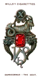 Kozoroh, koza, 1923