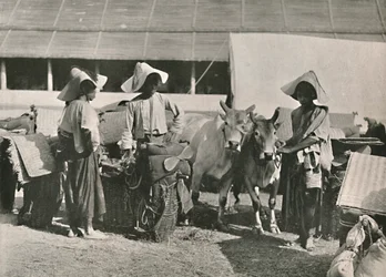 Karavanní scéna se Shans v Bhamo, 1900.