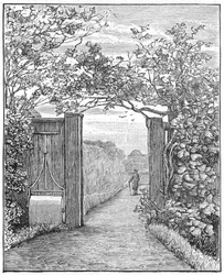 Charles Darwin na procházce pískem v Down House, c1870 1887