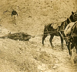 Čištění bojiště, c1914-c1918