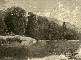 Cliefden Woods, 1898.