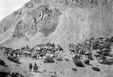 Konvoj muletů na úpatí Kordiller, Jižní Amerika, 1895