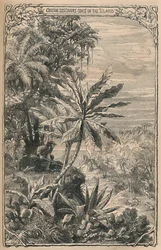 Crusoe objevuje kozy na ostrově, c1870