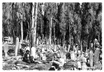 Cypřiše na hřbitově Scutari, Turecko, 1895