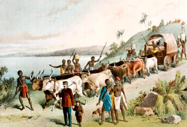 David Livingstone, skotský misionář a africký cestovatel, 1849 c1878