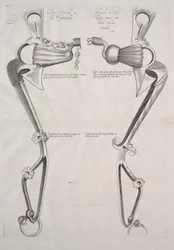 Diagram pro koně Bit, 1700s.