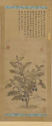Lilek, dynastie Ming, 1368-1644.