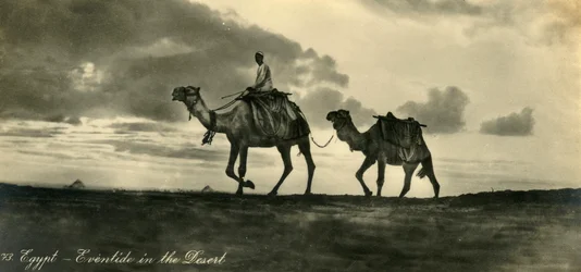 Egypt – Eventide in the Desert, c1918-c1939.