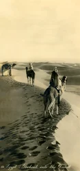 Egypt – Vyhlídka do pouště, c1918-c1939.