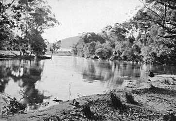 Večerní stíny, národní park, kolem roku 1900.