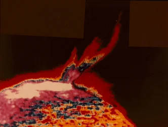 Falešný barevný obrázek sluneční erupce ze Skylabu, 1973