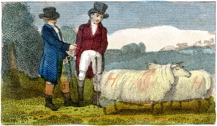 Farmáři diskutující o ovcích Dishley New Leicester, 1822