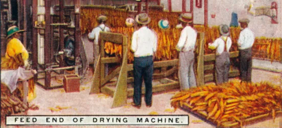 Feed End of Dry Machine, 1926