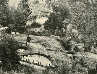 Rybníky, Ercildoune, poblíž Ballarat, 1901.