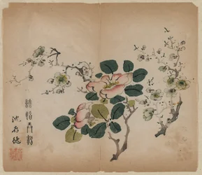 Kvetoucí Prunus, 1368-1644.