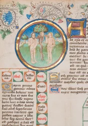 Genealogická kronika anglických králů, 1466-67.