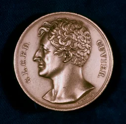 Georges Leopold Chretien Frederic Dagobert, baron Cuvier, francouzský anatom, 19.
