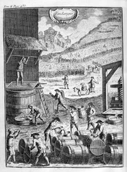 Sklizeň hroznů, 1775