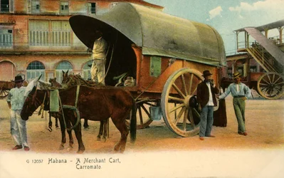 Havana - Obchodní vozík, vůz, c1910.