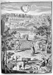 Sklizeň sena, 1775