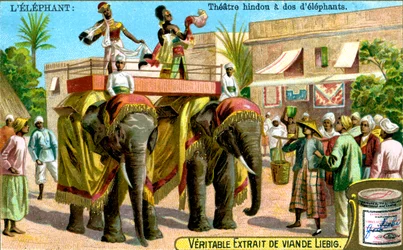 Hinduistické divadlo na zádech slonů, c1900