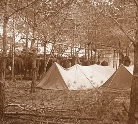 Horses Billet, Suippes, severní Francie, c1914-c1918