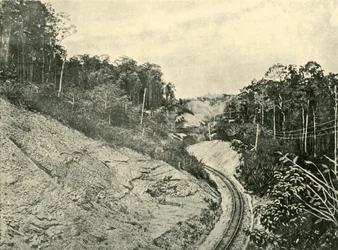 V pohoří Blackall, 1901.